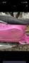 Vespa LX 50 Rosa chic Burdeos - thumbnail 3