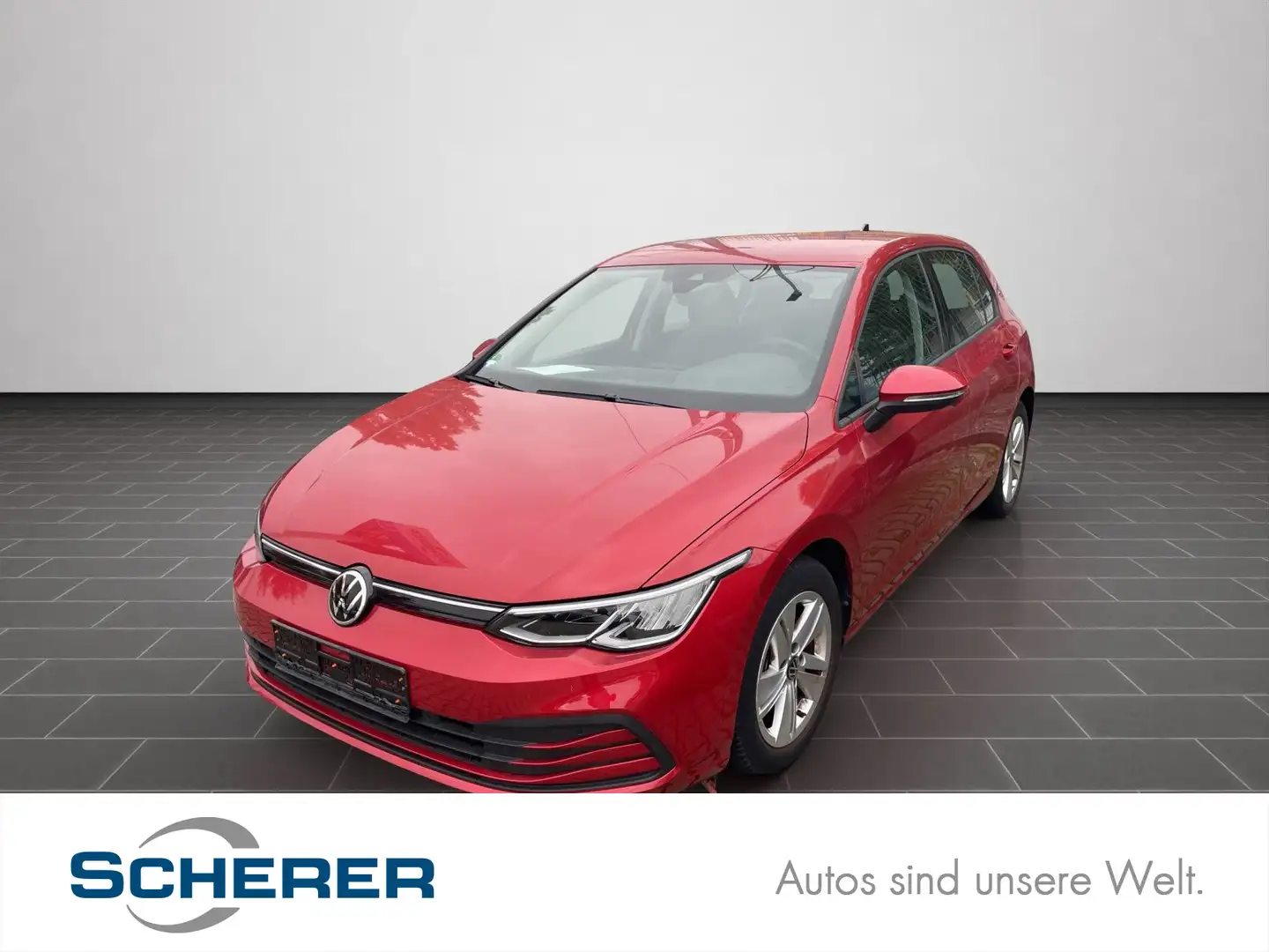 Volkswagen Golf VIII 1.5 TSI Life NAVI/LED/PDC/Sitzheizung Rot - 1