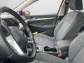 Volkswagen Golf VIII 1.5 TSI Life NAVI/LED/PDC/Sitzheizung Rot - thumbnail 9