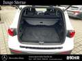 Mercedes-Benz EQB 300 EQB 300 4M AMG/Pano/"Flex-Bonus" - 2.400 Euro! LED Wit - thumbnail 15