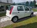Fiat Punto 1.2 5 porte Blanc - thumbnail 5