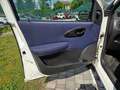 Fiat Punto 1.2 5 porte Blanco - thumbnail 16