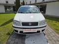 Fiat Punto 1.2 5 porte Blanc - thumbnail 2
