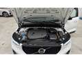 Volvo XC40 B3 Plus Aut. Blanco - thumbnail 49