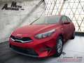 Kia Ceed / cee'd 1.5T-GDI 140 Vision+ Komfort-plus-Paket Rot - thumbnail 10