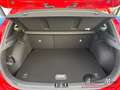 Kia Ceed / cee'd 1.5T-GDI 140 Vision+ Komfort-plus-Paket Rot - thumbnail 9