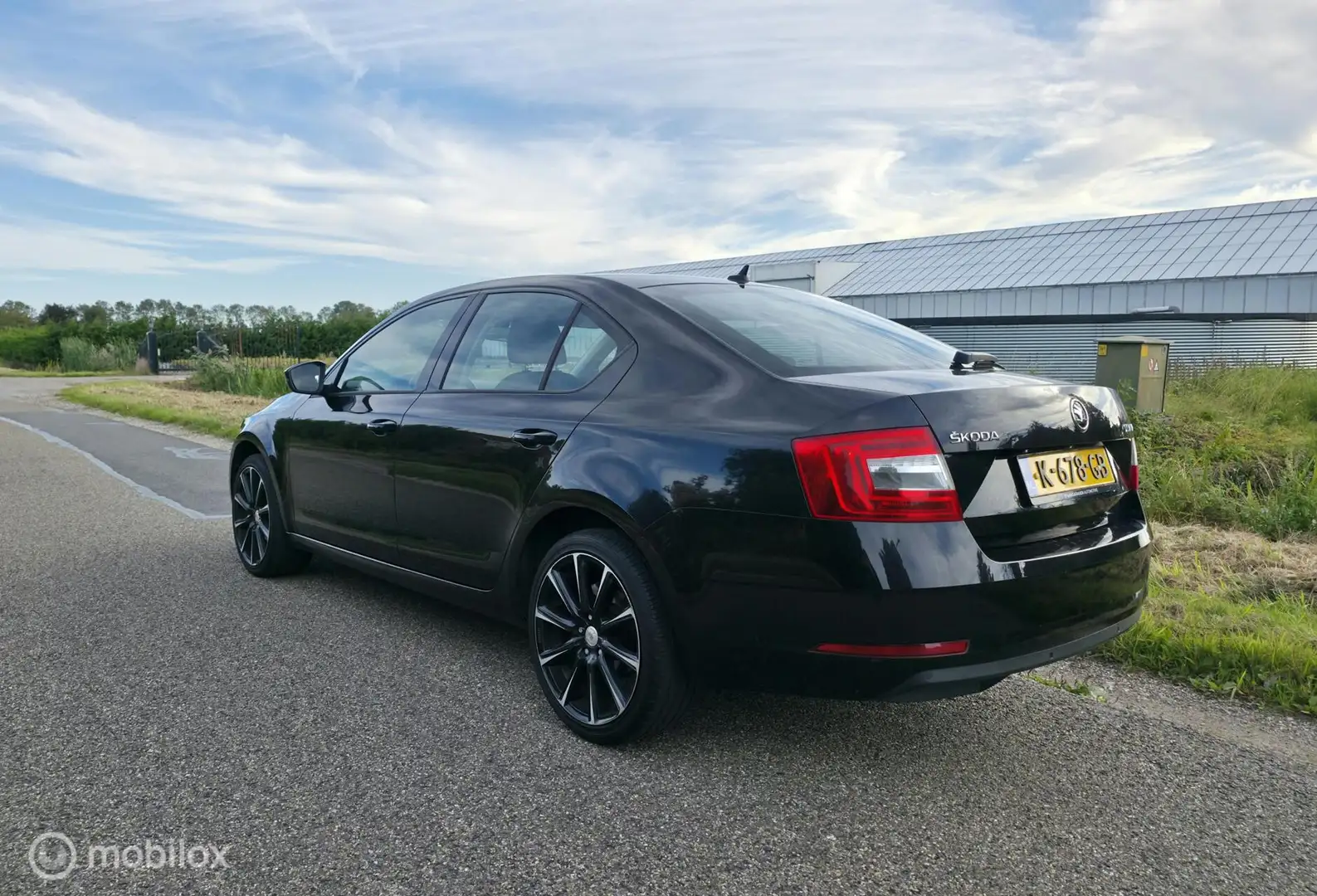 Skoda Octavia 1.0 TSI / Navi / Carplay / 18' velgen Zwart - 2
