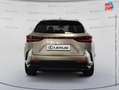 Lexus NX 450h+ 450h+ Executive 4WD MY24 Grau - thumbnail 7