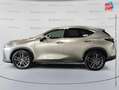 Lexus NX 450h+ 450h+ Executive 4WD MY24 Grau - thumbnail 9