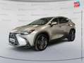 Lexus NX 450h+ 450h+ Executive 4WD MY24 Grau - thumbnail 1