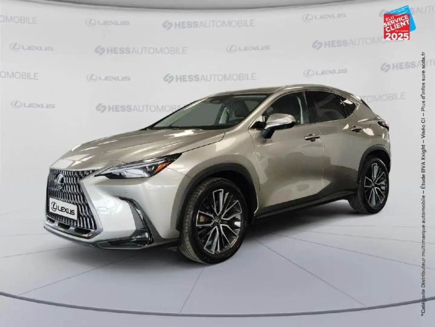 Lexus NX 450h+ 450h+ Executive 4WD MY24 Grau - 1