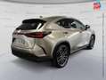 Lexus NX 450h+ 450h+ Executive 4WD MY24 Grau - thumbnail 6
