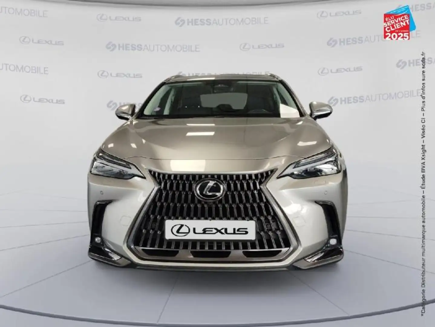 Lexus NX 450h+ 450h+ Executive 4WD MY24 Gris - 2