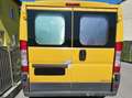Fiat Ducato Ducato Panorama 30 L1H1 115 Multijet Panorama Gelb - thumbnail 3