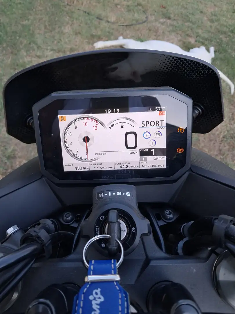 Honda Hornet sport Grigio - 1