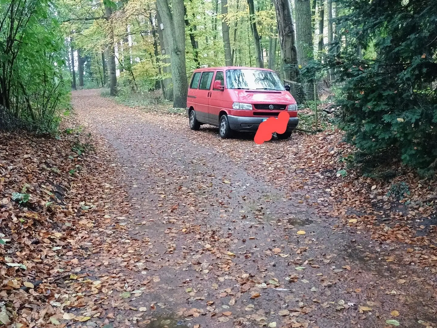 Volkswagen T4 Multivan TDI 7DC UY2 Red - 1