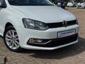 Volkswagen Polo 1.0 BlueMotion AIRCO MF-STUUR DEALER ONDERHOUDEN Wit - thumbnail 17