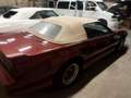 Pontiac Firebird Trans Am GTA convertible Rosso - thumbnail 2