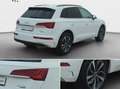Audi Q5 40 TDI quattro S line*Navi*Matrix*Alu*AHK*PDC Weiß - thumbnail 17