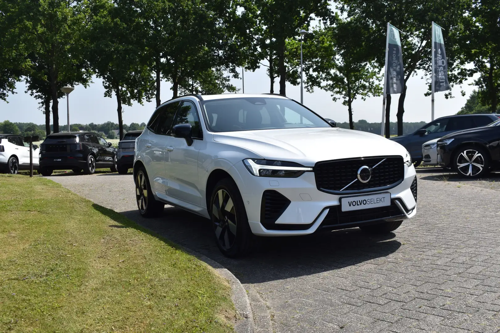 Volvo XC60 T6 350PK Plug-in hybrid AWD Plus Dark ACC | H&K | Wit - 2