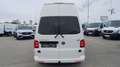 Volkswagen T6 Transporter T6 Hochdach lang 4Motion Weiß - thumbnail 7
