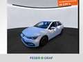 Volkswagen Golf VIII Active 1.5 TSI 6-Gang AHK KAMERA Weiß - thumbnail 1