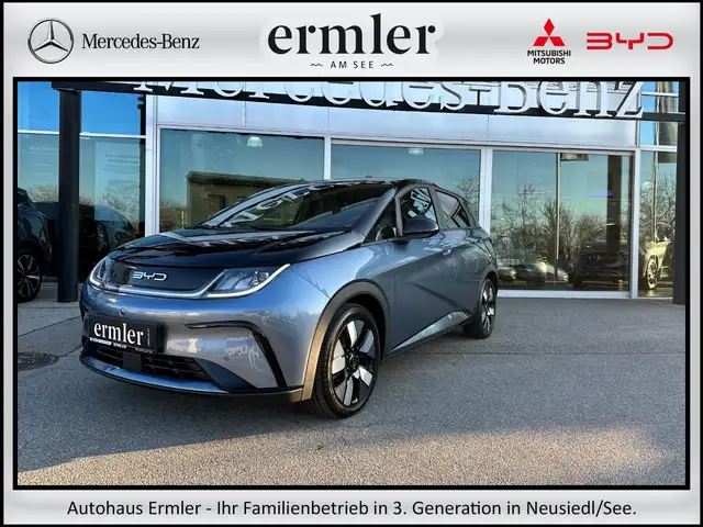 BYD Dolphin Design lagernd * sofort verfügbar!