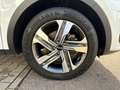 Kia Sorento 1.6 T-GDI Plug-In Hybrid Spirit 4WD EURO Blanc - thumbnail 14