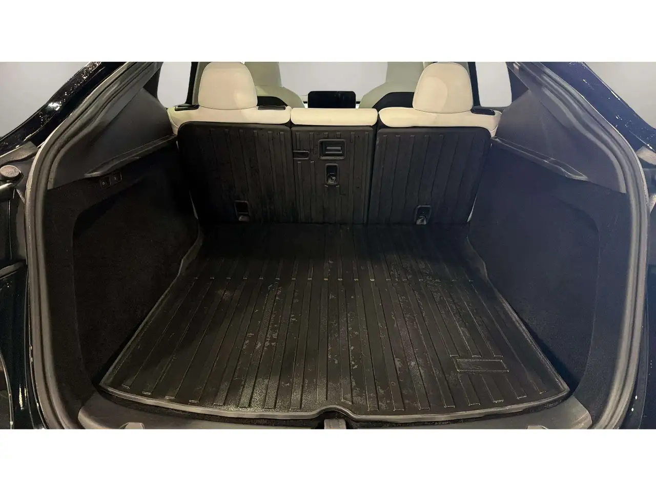 Tesla Model Y photo Tesla Model Y
