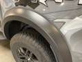 Ford Ranger Ford Ranger 2.0 TDCi Doppelkabine 4x4 Raptor - thumbnail 20