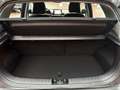 Kia Picanto 1.2 Vision Navigation, Kamera Grau - thumbnail 13