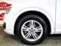 Audi Q3 2.0TDI Ambition quattro S-Tronic 177 Blanco - thumbnail 30