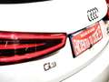 Audi Q3 2.0TDI Ambition quattro S-Tronic 177 Blanco - thumbnail 33