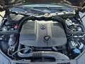 Mercedes-Benz C 220 CDI T-Modell BE Elegance Bi-Xenon PTS Schwarz - thumbnail 46