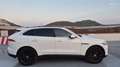 Jaguar F-Pace 2.0i4D Portfolio Aut. AWD 180 Weiß - thumbnail 7