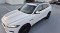 Jaguar F-Pace 2.0i4D Portfolio Aut. AWD 180 Weiß - thumbnail 47