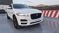 Jaguar F-Pace 2.0i4D Portfolio Aut. AWD 180 Weiß - thumbnail 36