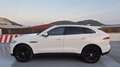 Jaguar F-Pace 2.0i4D Portfolio Aut. AWD 180 Weiß - thumbnail 6