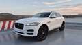 Jaguar F-Pace 2.0i4D Portfolio Aut. AWD 180 Weiß - thumbnail 2