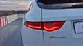 Jaguar F-Pace 2.0i4D Portfolio Aut. AWD 180 Weiß - thumbnail 12