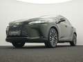 Lexus RX 350h RX 350h Luxury Line - thumbnail 10