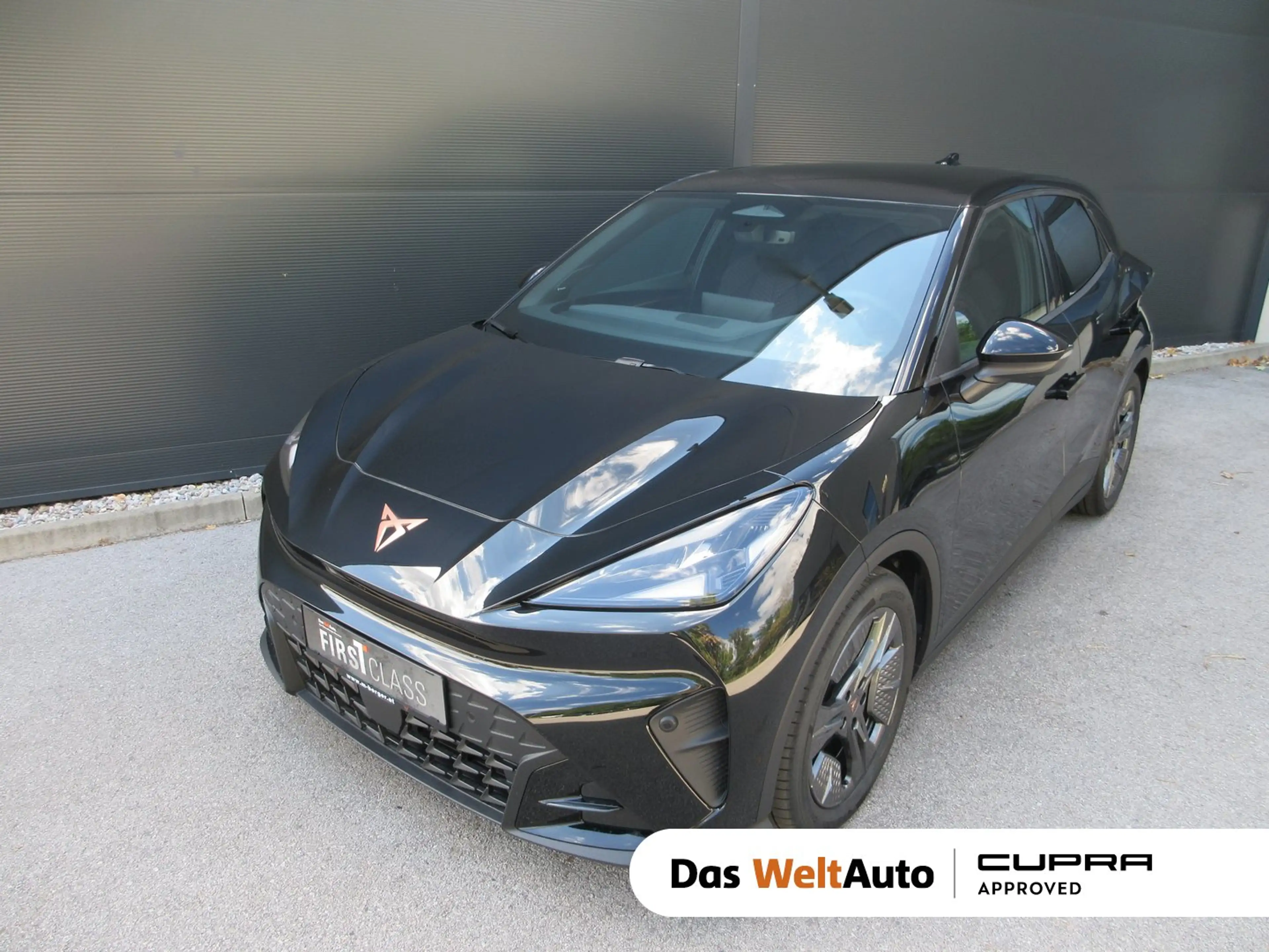 CUPRA Raval ENDURANCE 52/55 155kW/211 PS