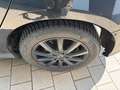 Ford Focus Lim. Champions Edition Zwart - thumbnail 5