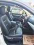 Kia Sorento Attract 4WD|Aut.|Pickerl & Service neu|Leder|mtl.90 EUR Weiß - thumbnail 24