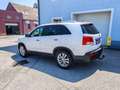 Kia Sorento Attract 4WD|Aut.|Pickerl & Service neu|Leder|mtl.90 EUR Weiß - thumbnail 7