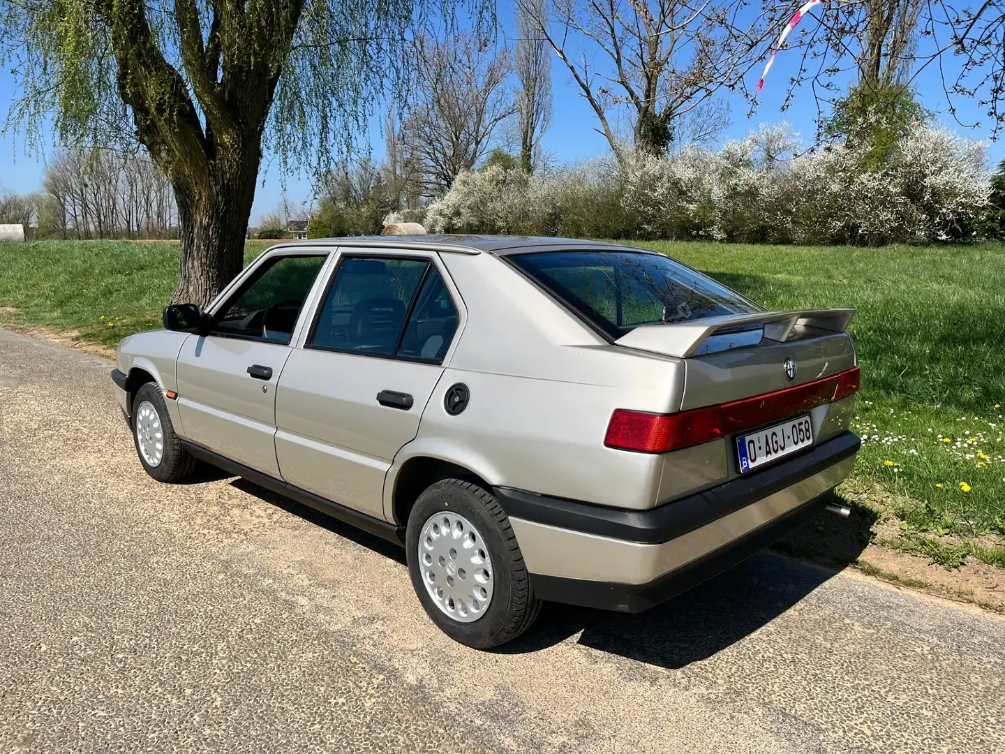 Alfa Romeo 33 indy carbu non catalysée Silver - 1