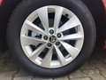 Skoda Scala 1.0 TSI Selection *Winterpaket* Rouge - thumbnail 7