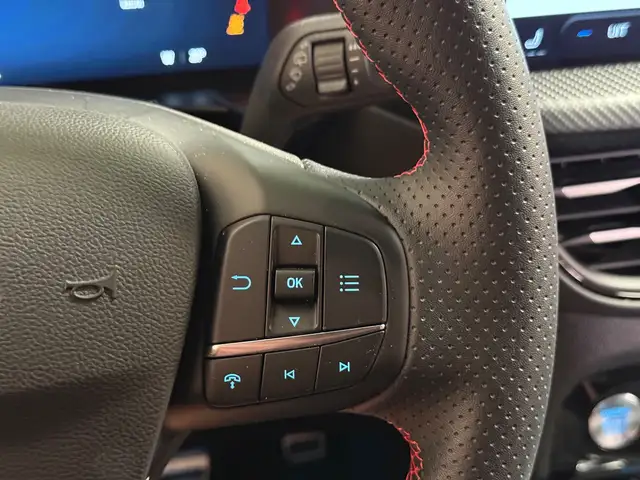 Ford Kuga view 18