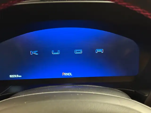 Ford Kuga view 19