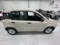 Fiat Panda Panda III 2012 1.2 Lounge 69cv E6 Beige - thumbnail 4